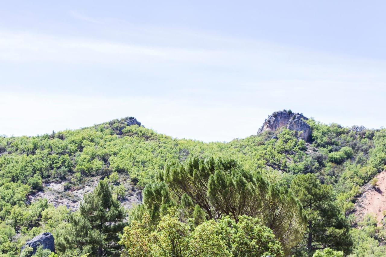 Apartamentos Rurales El Colvillo Trillo Eksteriør billede